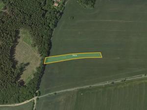 Prodej pole, Otinoves, 5196 m2