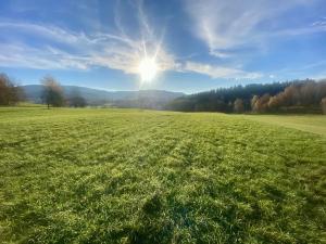 Prodej louky, Mníšek, 33698 m2