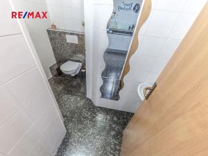 Pronájem komerční nemovitosti, Praha - Podolí, Na dolinách, 110 m2