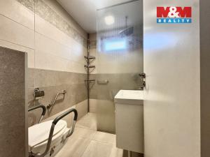 Prodej rodinného domu, Hať, Lipová, 250 m2