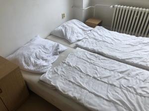 Pronájem ubytování, Dalovice, Botanická, 1400 m2