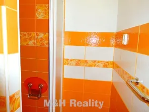 Pronájem bytu 2+1, Frýdlant nad Ostravicí, Pionýrů, 65 m2