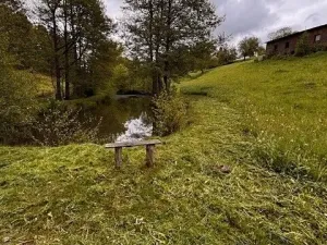 Prodej pole, Levínská Olešnice, 8891 m2