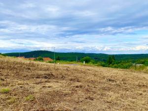 Prodej pozemku, Černolice, Lísková, 500 m2