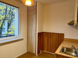 Pronájem bytu 1+1, Vysoké Mýto, Větrná, 30 m2