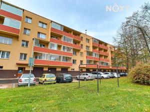 Pronájem bytu 1+kk, Bohumín, Šunychelská, 32 m2