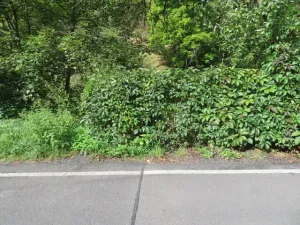 Dražba zahrady, Šemnice, 472 m2