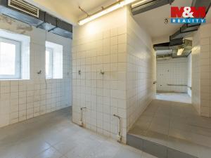 Pronájem restaurace, Liběchov, nám. V. Levého, 367 m2