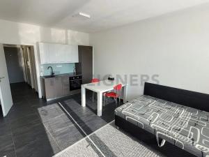 Pronájem bytu 1+kk, Brno, Vídeňská, 33 m2