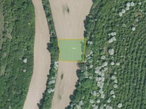 Prodej pole, Lovčice, 5984 m2