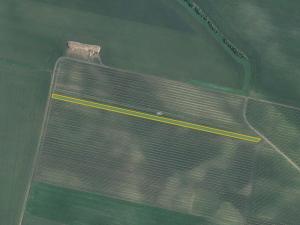 Prodej sadu/vinice, Terezín, 5465 m2