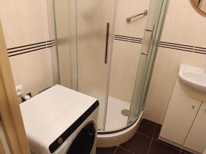 Pronájem bytu 2+1, Uherské Hradiště, Průmyslová, 53 m2