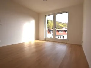 Pronájem bytu 1+kk, Praha - Lysolaje, Lysolajské údolí, 30 m2