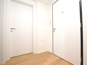 Pronájem bytu 1+kk, Praha - Lysolaje, Lysolajské údolí, 30 m2