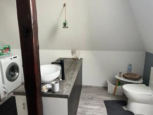 Pronájem bytu 4+1, Liberec, Zákopnická, 170 m2