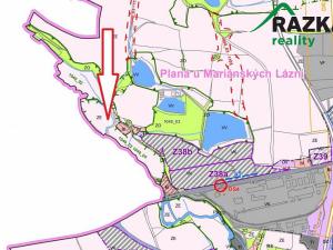 Prodej pole, Planá, 119477 m2
