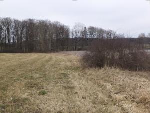 Prodej pole, Dříteň, 1815 m2