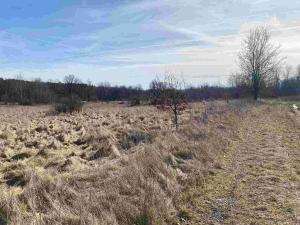 Prodej pozemku, Františkovy Lázně, 2500 m2