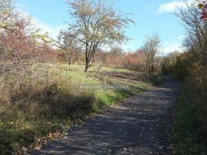 Prodej zahrady, Židlochovice, 2384 m2