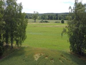 Prodej pole, Sobíňov, 7578 m2