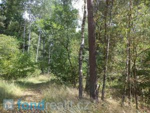 Prodej pozemku, Kaplice - Blansko, 19480 m2