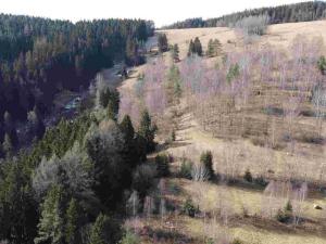 Prodej pole, Kraslice, 3869 m2