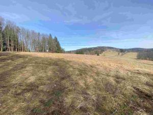 Prodej pole, Kraslice, 3869 m2