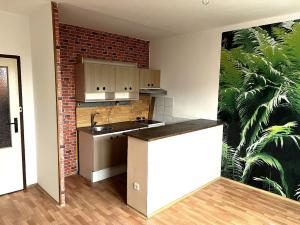 Pronájem bytu 2+kk, Liberec - Liberec VI-Rochlice, Seifertova, 42 m2