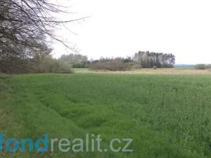 Prodej pole, Žíšov, 3467 m2