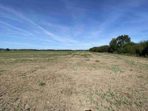 Prodej komerčního pozemku, České Velenice, 26974 m2