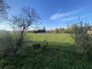 Prodej pozemku, Králíky - Horní Lipka, 18004 m2