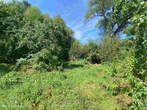 Prodej pozemku, Horní Stropnice - Bedřichov, 2842 m2