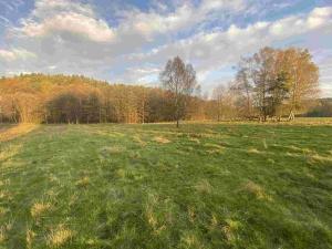 Prodej pole, Cvikov - Trávník, 16894 m2