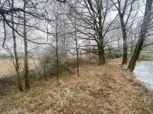 Prodej pozemku, Slatina, 1757 m2