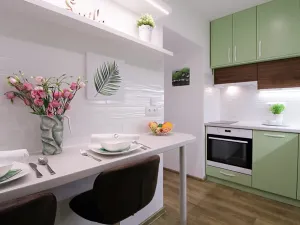 Pronájem bytu 1+1, Praha - Karlín, Vítkova, 43 m2