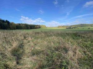 Prodej pozemku, Králíky - Horní Lipka, 3207 m2