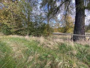 Prodej pozemku, Králíky - Horní Lipka, 3207 m2