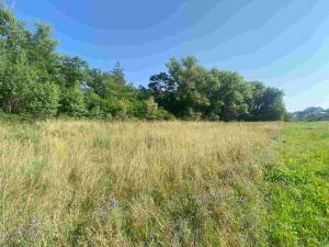 Prodej pozemku, Moravský Písek, 2722 m2