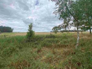 Prodej pozemku, Kladruby - Tuněchody, 2230 m2