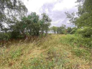 Prodej pozemku, Kladruby - Tuněchody, 2230 m2