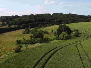 Prodej pozemku, Dobrkovice, 30944 m2