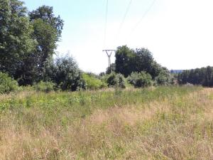 Prodej pozemku, Stráž, 15644 m2