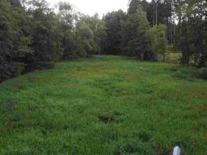 Prodej pole, Chýnov - Dobronice u Chýnova, 22334 m2