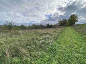 Prodej pozemku, Javorník - Horní Hoštice, 1691 m2