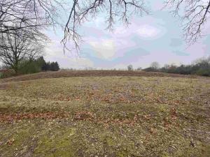 Prodej pozemku, Drahonice - Albrechtice, 2121 m2