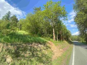 Prodej pozemku, Břidličná - Vajglov, 7130 m2