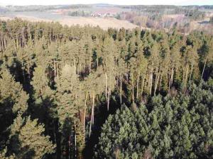 Prodej pole, Kočov - Klíčov, 3847 m2