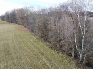 Prodej pozemku, Dolní Dvořiště - Trojany, 18915 m2