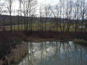 Prodej pozemku, Nové Hrady - Štiptoň, 35772 m2