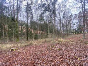 Prodej pozemku, Hosín - Dobřejovice, 10244 m2